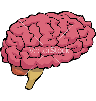 Cartoon Brain Vector Free