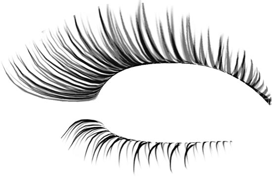 Cartoon Eye Lashes Clip Art