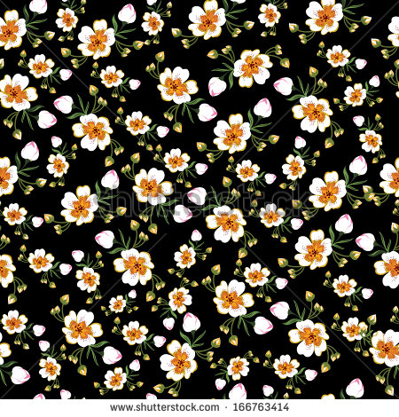 Daisy Floral Pattern Vector