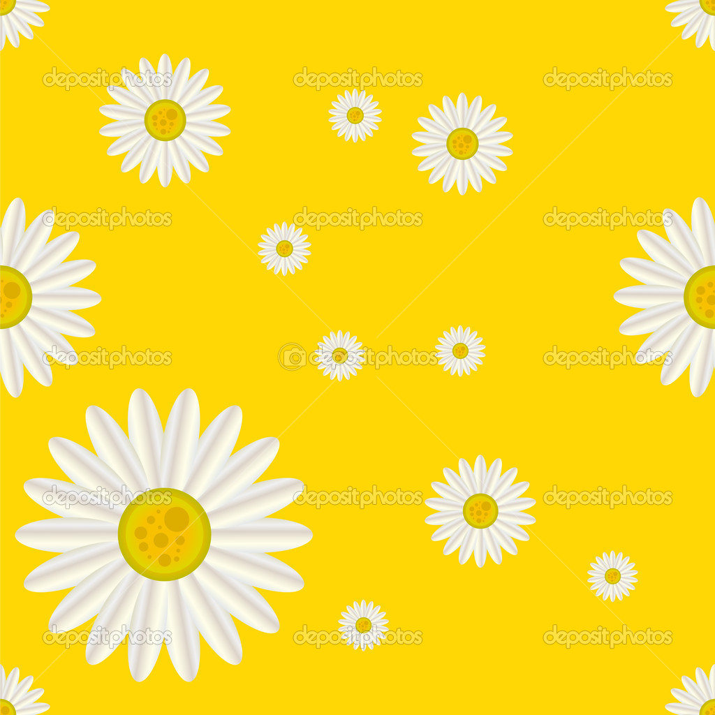 Daisy Pattern Daisy Pattern