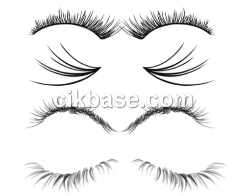 Eye Lashes Photoshop Brushes Free Download