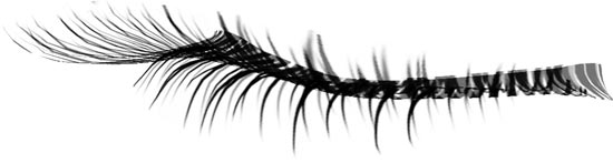 Eyelash Photoshop Template