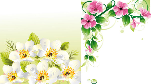 Flower Border Vector Art