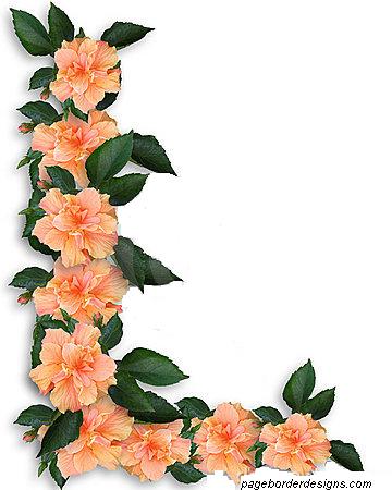 Flower Corner Border Designs