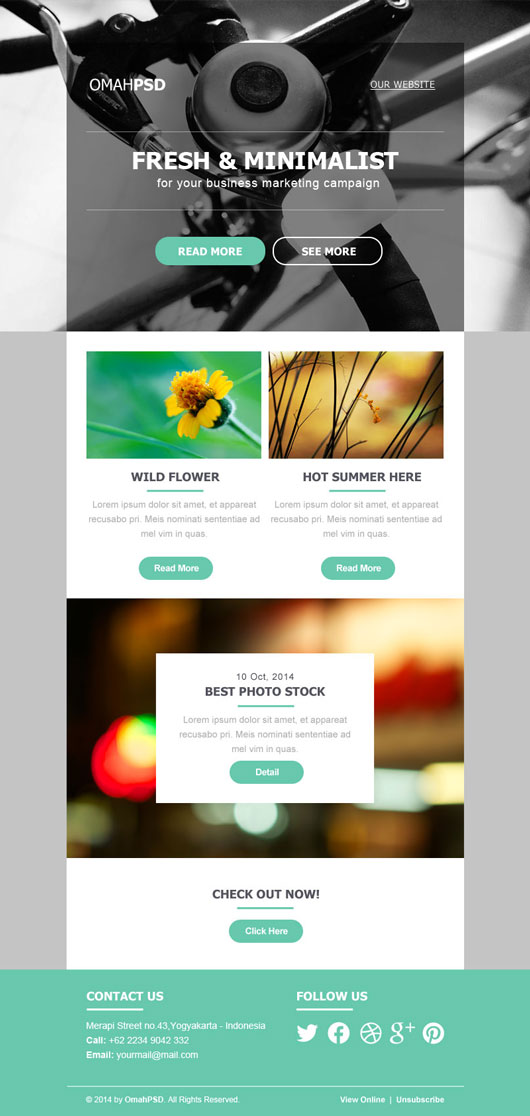Free HTML Email Template