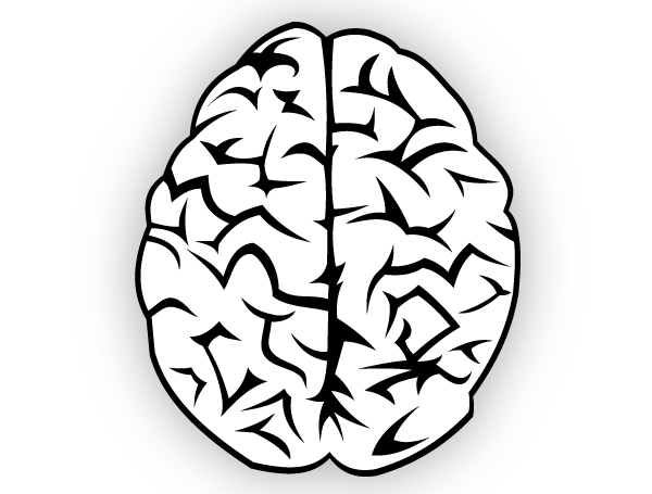 Free Vector Brain