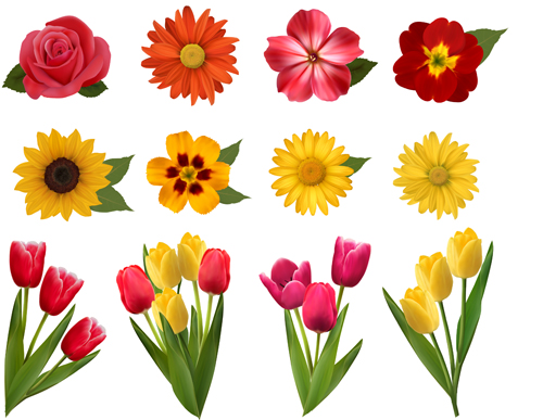 Free Vector Flower Designs