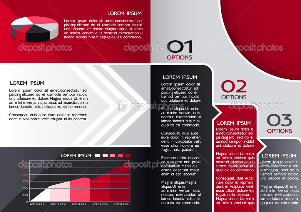 Graphic Layout Brochure Design