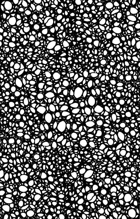 Intricate Black and White Pattern