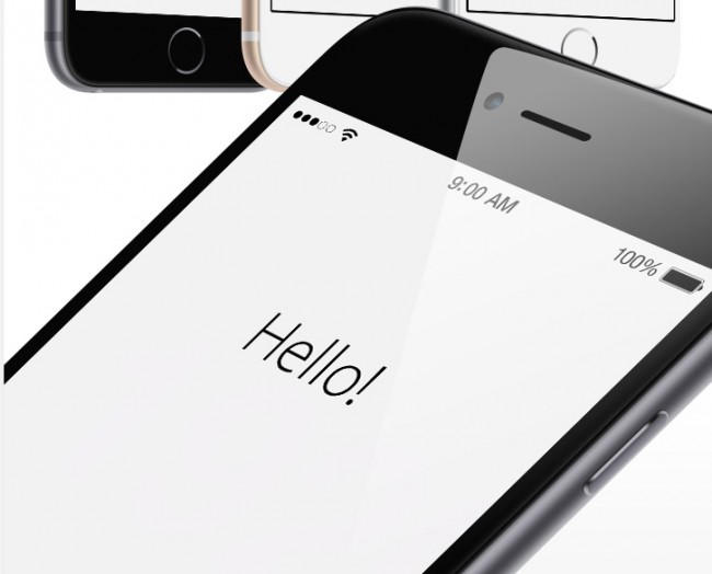 iPhone 6 Mockups Vector