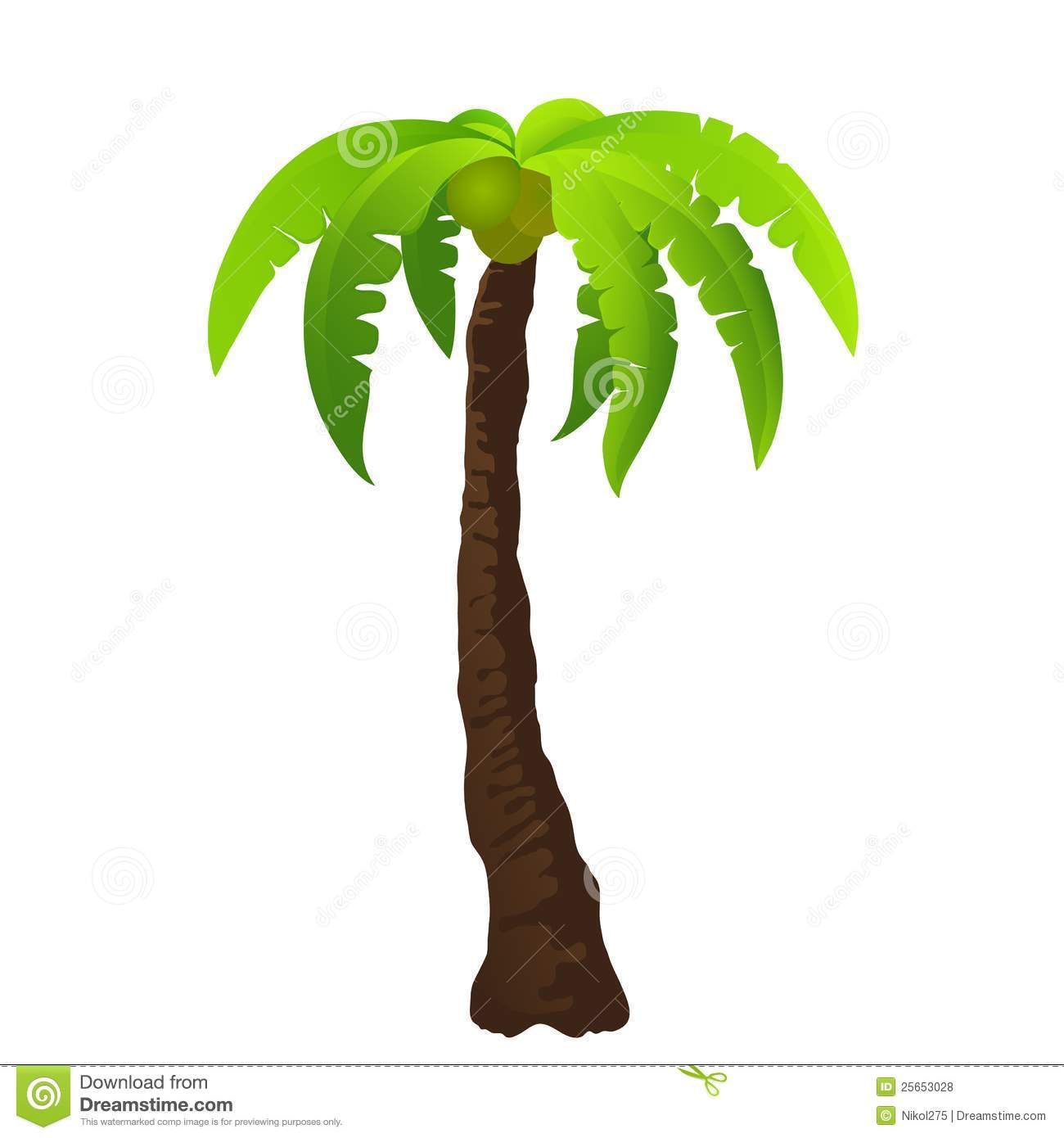 Palm Tree Illustration