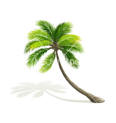 Palm Tree Vector Art