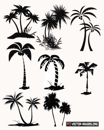 Palm Tree Vector Free