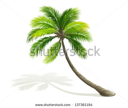 Palm Tree Vector Free