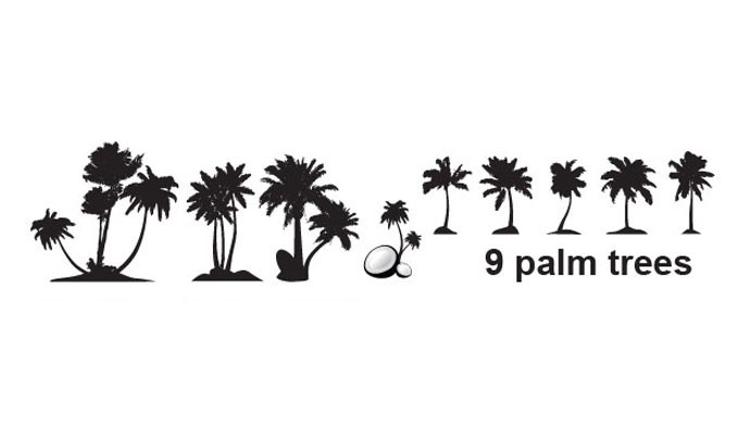 Palm Tree Vector