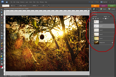 Photoshop Elements Layers