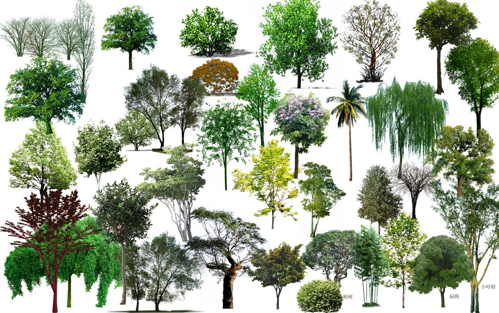 Photoshop Trees Free Download