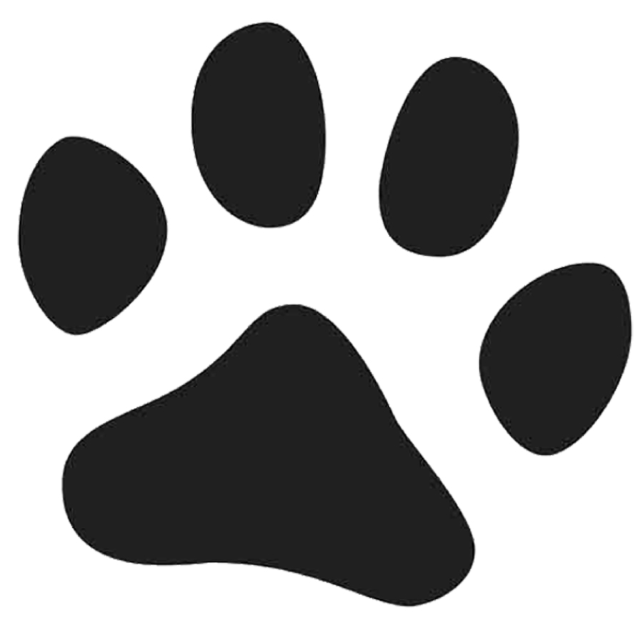 13 Animal Paw Fonts Images