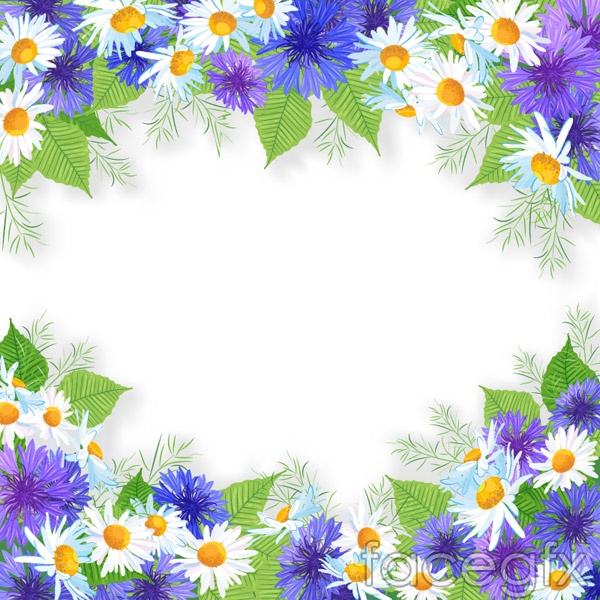 Purple Daisy Flower Border