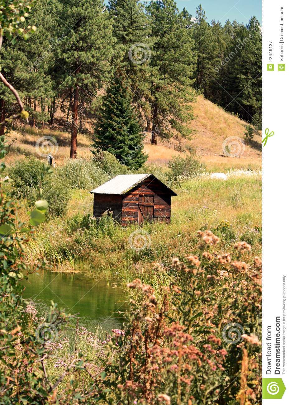 Shack in the Middle of Nowhere