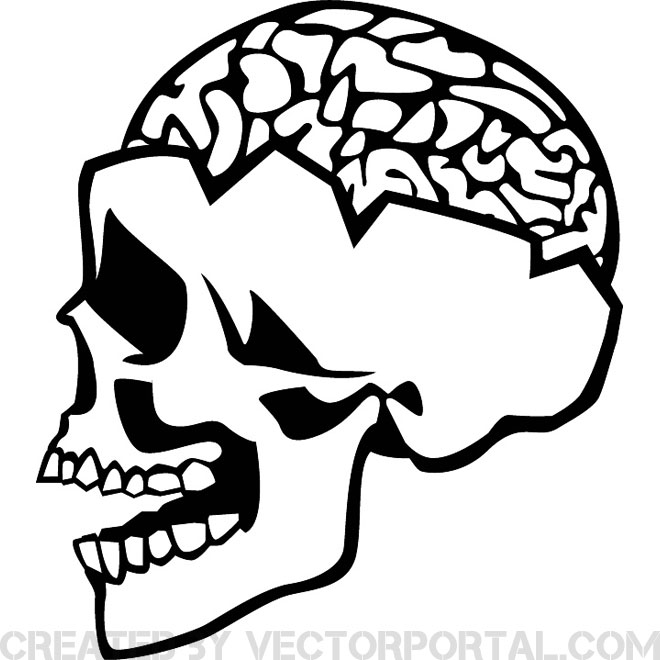 Skull Brain Vector Free