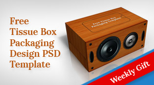 Speaker Box Designs Templates