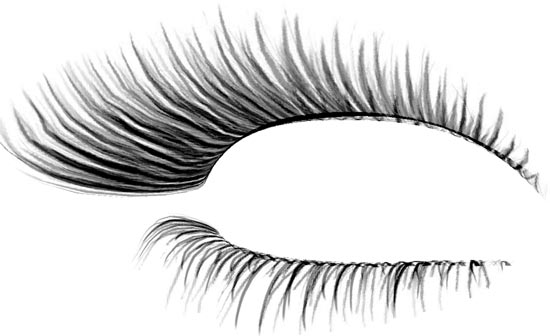 Transparent Eyelash Photoshop Template