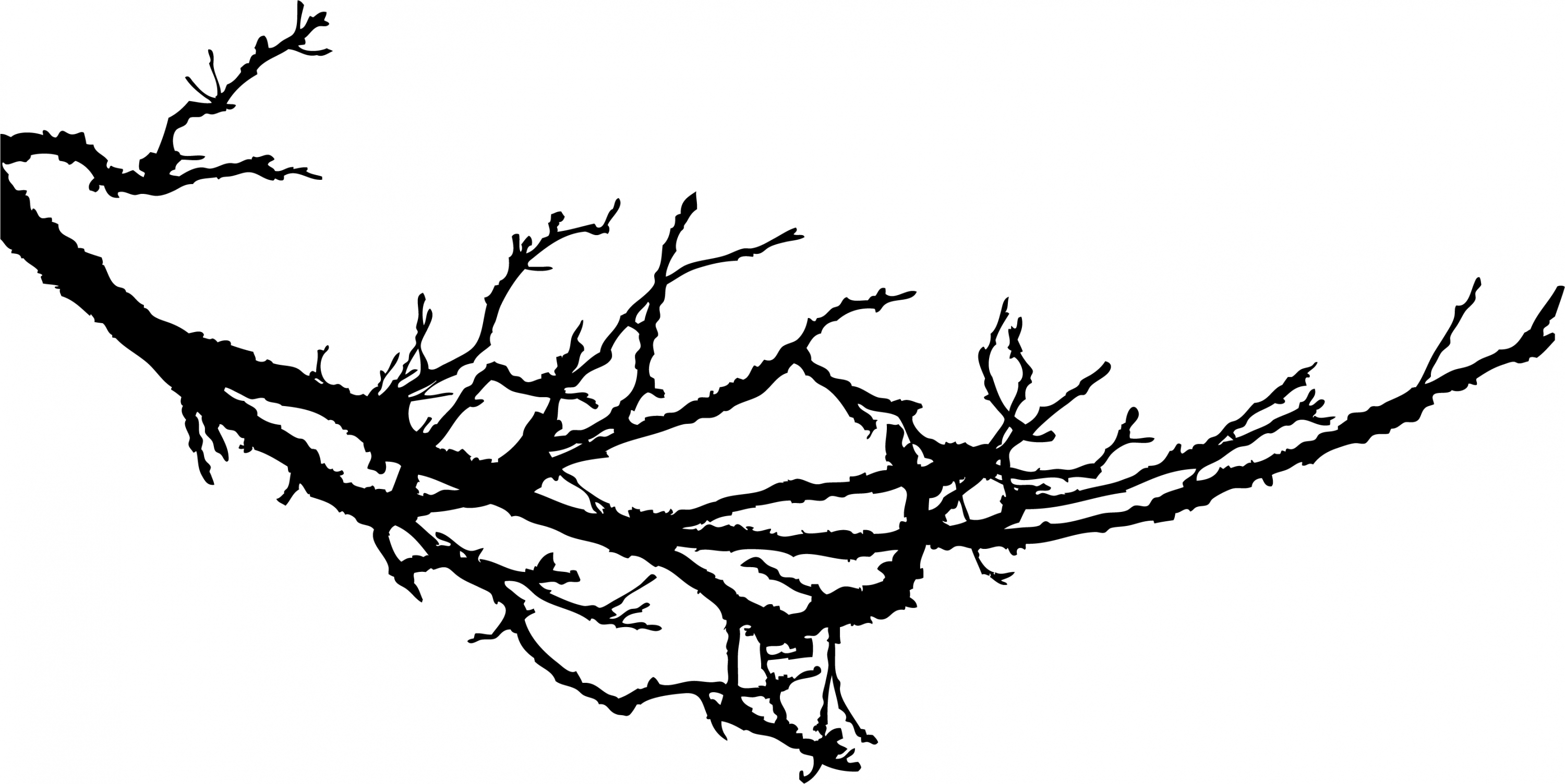Tree Branch Silhouette Clip Art