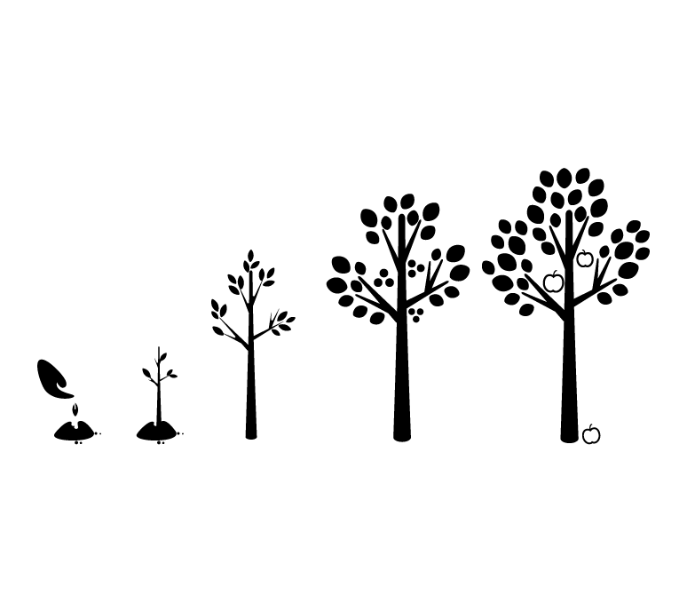 Tree Growth Stages Tree Growth Stages