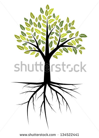 Tree with Roots Vector