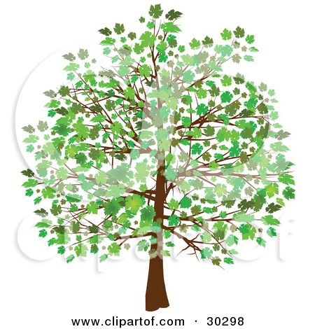 Trees Growing Leaves Clip Art Trees Growing Leaves Clip Art