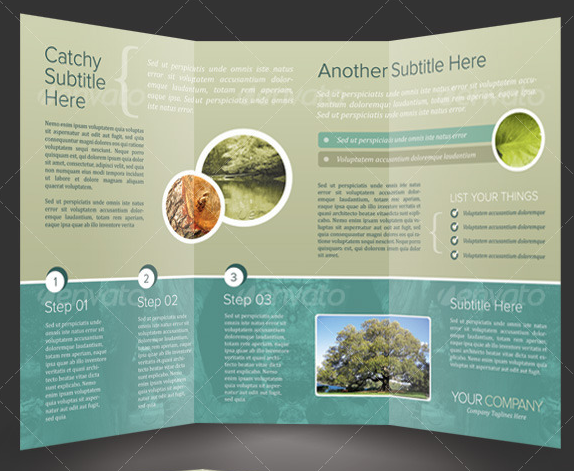 Tri-Fold Brochure Template InDesign Tri-Fold Brochure Template InDesign