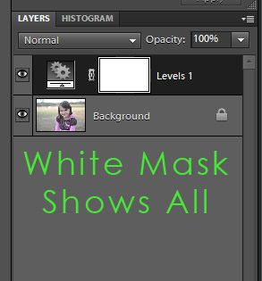 Understanding Layer Masks in Photoshop