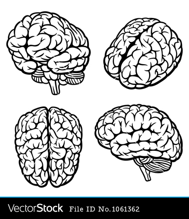 Vector Human Brain Vector Human Brain