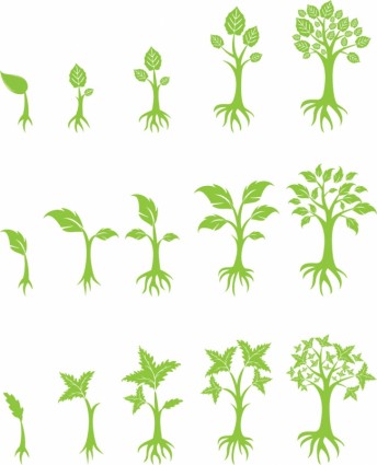 Vector Tree Growing Vector Tree Growing
