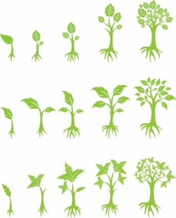 13 Growing Tree Graphic Images