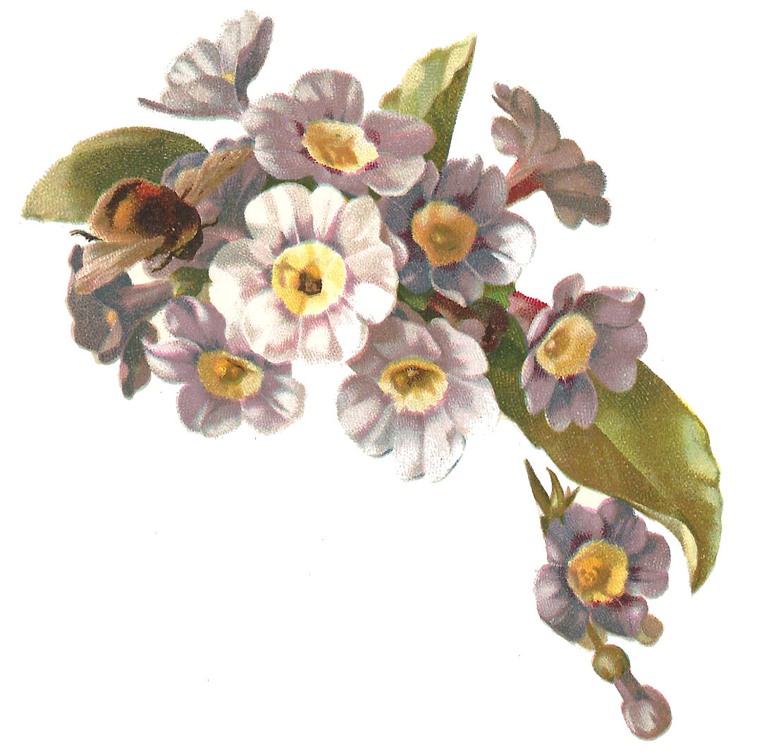 Victorian Flowers Clip Art Free