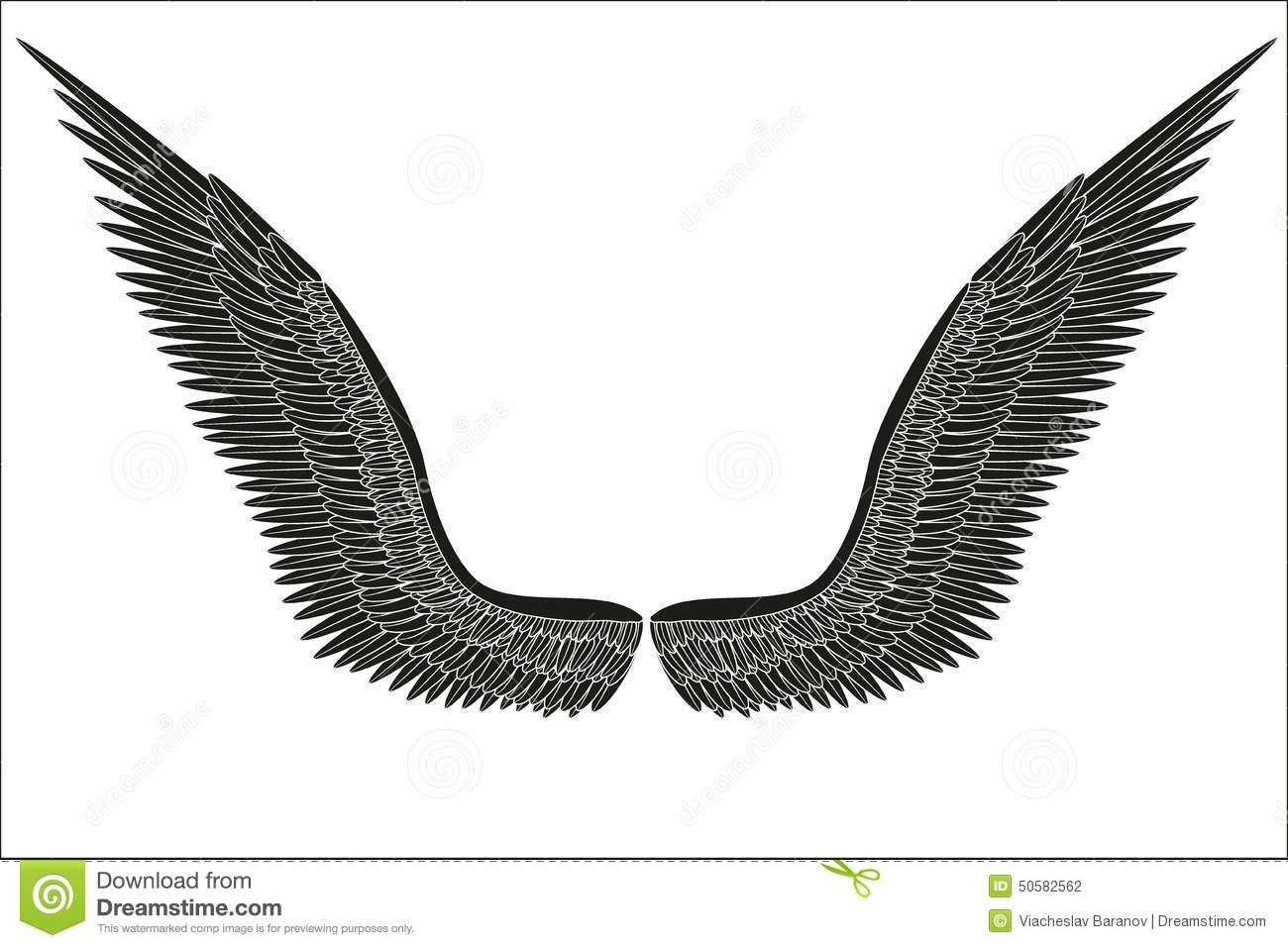White Angel Wings Vector