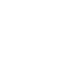 White Toyota Car Logo