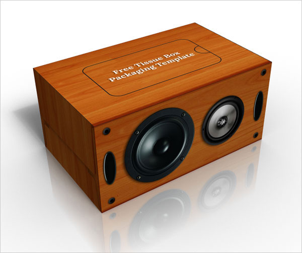 Wooden Speaker Box Designs