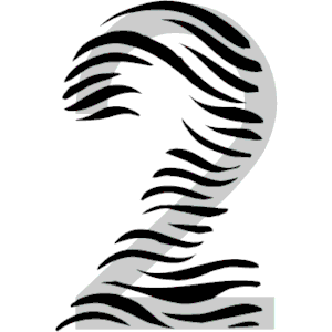 Zebra Print Number 2
