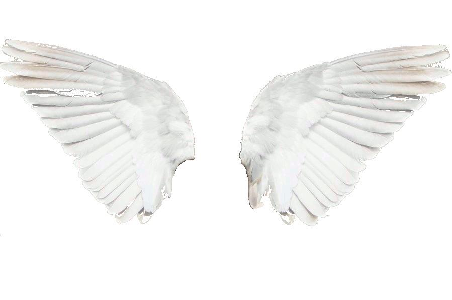 Angel Wing Graphics