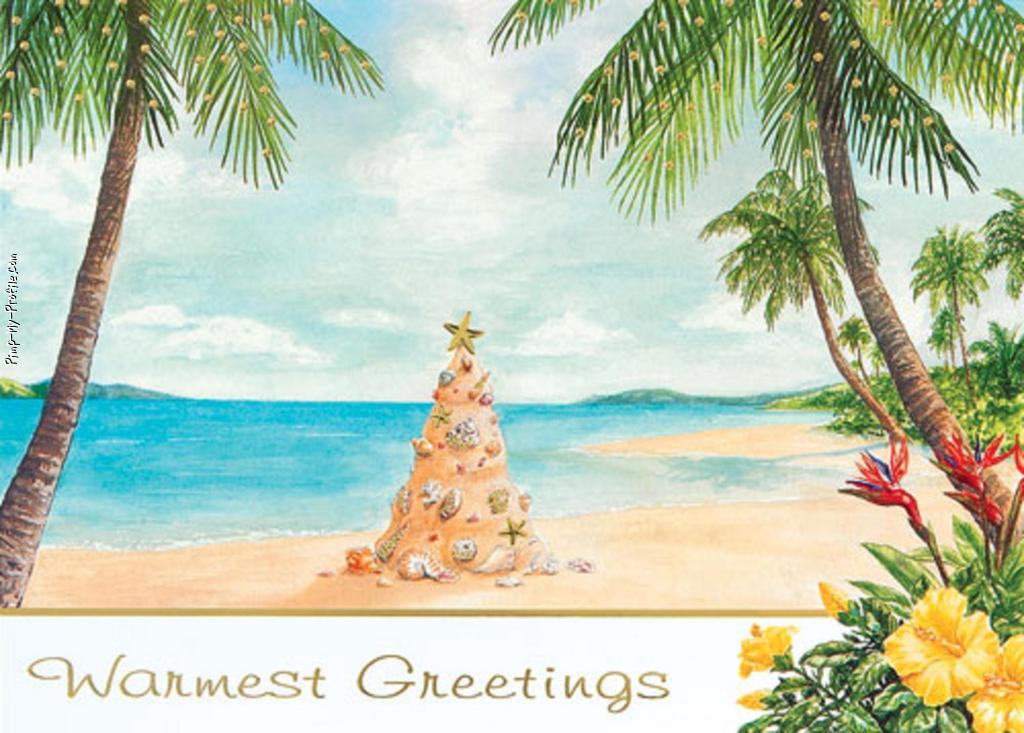 Beach Christmas Facebook Covers