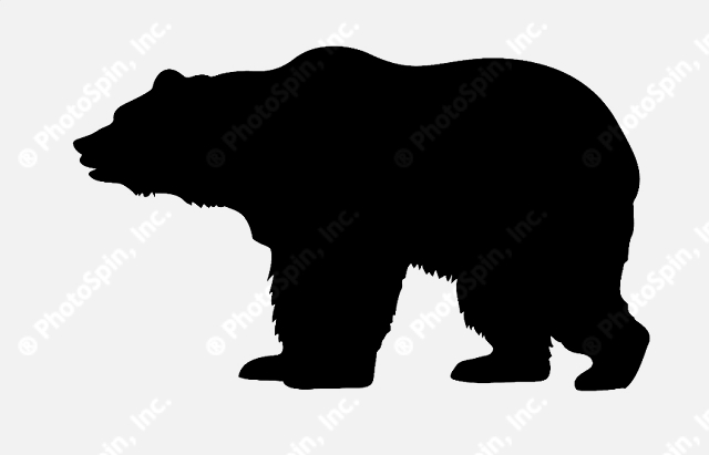 13 Bear Silhouette Vector Images