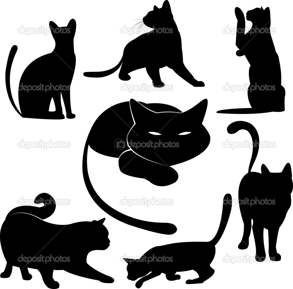 Black Cat Silhouette