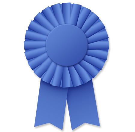 Blue Ribbon Award