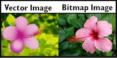 Difference Between Bitmap and Vector