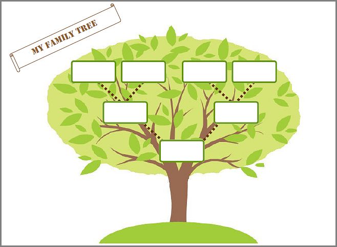 Family Tree Graphic Organizer Template Family Tree Graphic Organizer Template