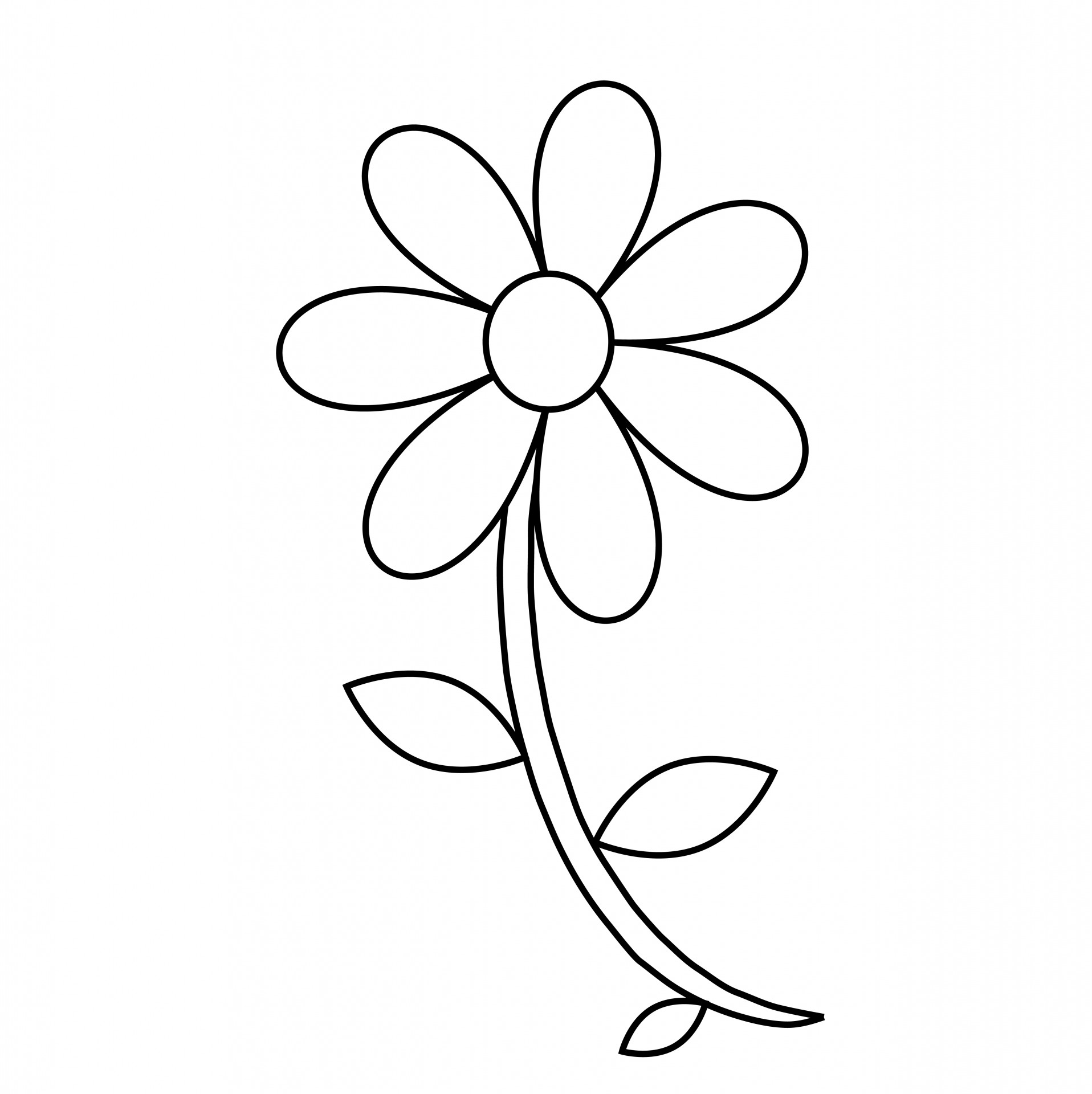 Flower Outline Coloring Pages