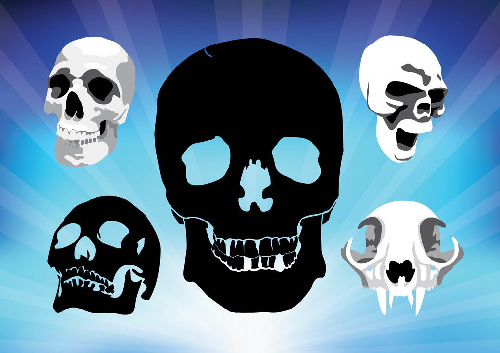 Free Skull Vector